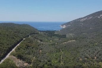 Uvali Valdanos i maslinadi potrebna zaštita, a ne novi hoteli Uvali Valdanos i maslinadi potrebna zaštita, a ne novi hoteli