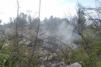 Požar u Piperima: Gori trava i nisko rastinje