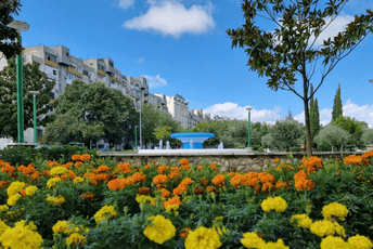 Vuković: Fontana na Pobrežju u novom ruhu, nastavljamo dalje Vuković: Fontana na Pobrežju u novom ruhu, nastavljamo dalje