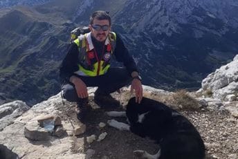 Pronađen povrijeđeni pas na Bobotovom kuku Pronađen povrijeđeni pas na Bobotovom kuku