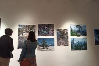 Vapaj munike ujedinio ekologe i umjetnike Vapaj munike ujedinio ekologe i umjetnike