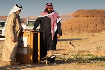 Saudijska Arabija dobila organizaciju zimskih igara usred pustinje Saudijska Arabija dobila organizaciju zimskih igara usred pustinje