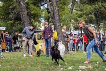 Podgorica dobila park za pse Podgorica dobila park za pse
