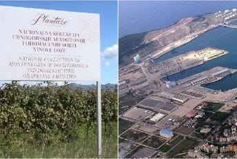 Po cijeni od jedan euro: Na prodaju dio akcija Luke Bar i Plantaža Po cijeni od jedan euro: Na prodaju dio akcija Luke Bar i Plantaža