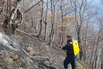 Mojkovac: Gorjelo na Štitarici, vatrogasci lokalizovali požar Mojkovac: Gorjelo na Štitarici, vatrogasci lokalizovali požar