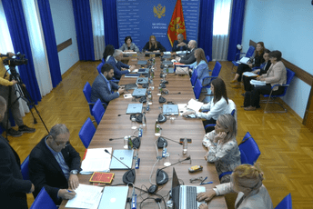 Predlog zakona o popisu u skladu sa Ustavom i zakonodavnim sistemom Ilustracija