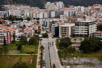 Budvanske mjesne zajednice: Životinje zalutale sa Cetinja ugrožavaju bezbjednost saobraćaja i negativno utiču na turističku ponudu