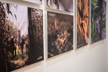 Na izložbi fotografija prikazano bogatstvo biodiverziteta Crne Gore Na izložbi fotografija prikazano bogatstvo biodiverziteta Crne Gore