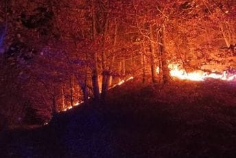 Bijelo Polje: Sa požarima se borili do tri jutros, ljudski faktor vjerovatni uzrok svakog