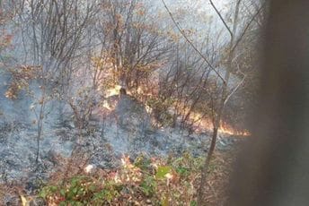 Kolašinski vatrogasci odbranili kuće, dalekovodu u Mujića Rečinama ne mogu pomoći Kolašinski vatrogasci odbranili kuće, dalekovodu u Mujića Rečinama ne mogu pomoći