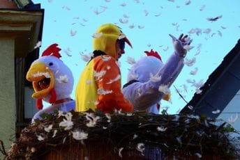 Aktivisti prerušeni u kokoške upali u restoran brze hrane u Parizu (Video) Aktivisti prerušeni u kokoške upali u restoran brze hrane u Parizu (Video)