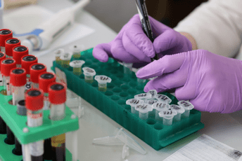 Dobrovoljnim davaocima krvi ulaznice za Festival kulture Zabjelo Dobrovoljnim davaocima krvi ulaznice za Festival kulture Zabjelo