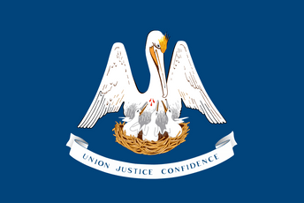 Glasalo se i o zabrani ropstva, Lujzijana odbila Glasalo se i o zabrani ropstva, Lujzijana odbila