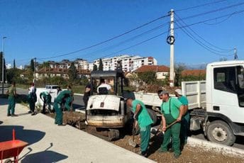 Vuković: Uskoro novi drvored u Ulici Buda Tomovića Vuković: Uskoro novi drvored u Ulici Buda Tomovića