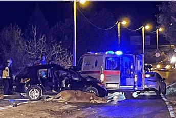 Automobil se sudario s konjem nedaleko od Mostara Automobil se sudario s konjem nedaleko od Mostara