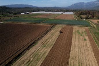 Novembar u Našoj bašti Novembar u Našoj bašti