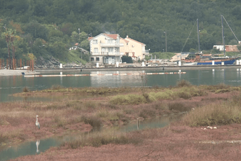 Projekat “Endemic pathway – Put endema”: Počeo trodnevni kamp na Solilima Projekat “Endemic pathway – Put endema”: Počeo trodnevni kamp na Solilima