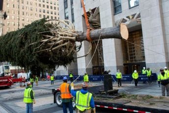 (VIDEO) Počinje ukrašavanje najpoznatije novogodišnje jelke: Krasiće je više od 50.000 LED lampica (VIDEO) Počinje ukrašavanje najpoznatije novogodišnje jelke: Krasiće je više od 50.000 LED lampica