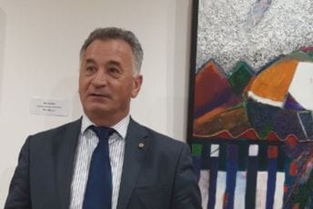 Došljak: Ne čudi što Mandić nije čestitao Dan nezavisnosti, lideri partija koji su bili za zajedničku državu i dalje ne priznaju Crnu Goru