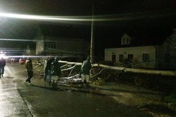 Cetinje: Vjetar oborio drvo u Donjem polju, oštećeni strujni vodovi