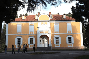 Strategija i konsenzus, a ne odluke „preko noći" Dvorac Petrovića na Kruševcu glavna je galerija Centra savremene umjetnosti