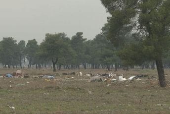Sve više nelegalnih deponija, država da pooštri kazne Sve više nelegalnih deponija, država da pooštri kazne