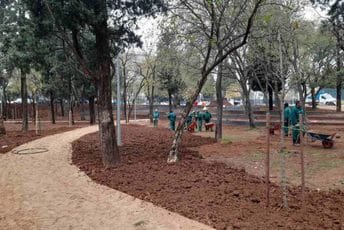 Vuković: Privodimo kraju uređenje zelene površine u blizini SC "Morača" Vuković: Privodimo kraju uređenje zelene površine u blizini SC "Morača"