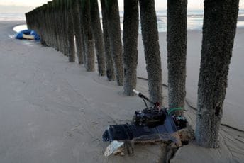 U Velikoj Britaniji nestalo desetine djece migranata iz Albanije Ilustracija