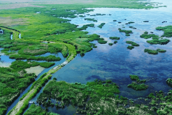Močvara Manas u Sinđijangu Močvara Manas u Sinđijangu