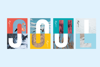 Prepoznat značaj dualiteta prirodnog i ljudskog faktora: Izabran logotip za Ulcinjsku solanu Prepoznat značaj dualiteta prirodnog i ljudskog faktora: Izabran logotip za Ulcinjsku solanu