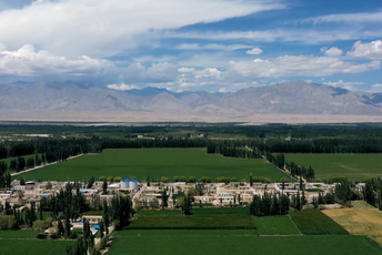 Nakon 40 godina: Pustinja Gobi postala plodna zemlja Nakon 40 godina: Pustinja Gobi postala plodna zemlja