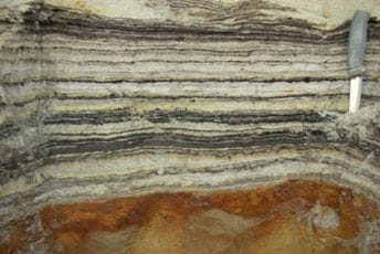 Na Grenlandu: Naučnici otkrili DNK star dva miliona godina Na Grenlandu: Naučnici otkrili DNK star dva miliona godina