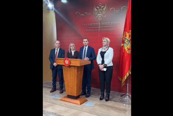 Konatar: Kompletirajmo Ustavni sud i imamo dogovor, u suprotnom glasaćemo kao i prethodnog puta za Zakon o predsjedniku