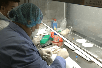 Kako izgleda ''svemirska biljka''? Kako izgleda ''svemirska biljka''?