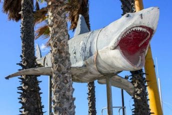 Spilberg žali zbog posljedica filma „Ajkula“ Spilberg žali zbog posljedica filma „Ajkula“