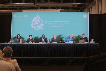 Kineski projekat o zaštiti životne sredine odobren na COP15 Kineski projekat o zaštiti životne sredine odobren na COP15