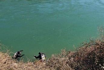 Nastavak sjutra: Spasioci i građani i danas tragali za Gardaševićem Nastavak sjutra: Spasioci i građani i danas tragali za Gardaševićem