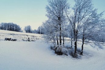 Januarski aranžmani se otkazuju: Turisti na skijalištima jedino mogu da se - grudvaju Januarski aranžmani se otkazuju: Turisti na skijalištima jedino mogu da se - grudvaju