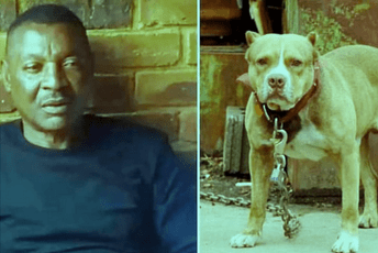 Tragična smrt reprezentativca Zambije: Izujedali ga na smrt njegovi psi Tragična smrt reprezentativca Zambije: Izujedali ga na smrt njegovi psi