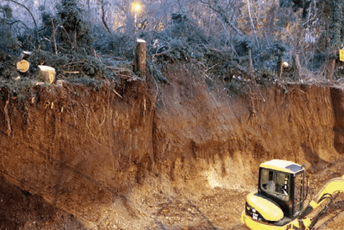 Tvrde da su borovi uklonjeni jer su ugrožavali bezbjednost na gradilištu Tvrde da su borovi uklonjeni jer su ugrožavali bezbjednost na gradilištu