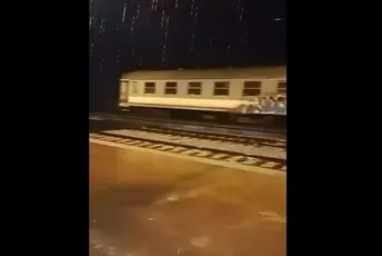 (VIDEO) Voz iz Bara u kvaru: Organizovan prevoz putnika autobusom (VIDEO) Voz iz Bara u kvaru: Organizovan prevoz putnika autobusom