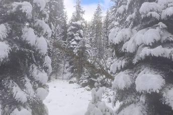 Bujice oštetile stubove, voda prodrla u trafo-stanice: Bez struje uglavnom seoska područja Bujice oštetile stubove, voda prodrla u trafo-stanice: Bez struje uglavnom seoska područja