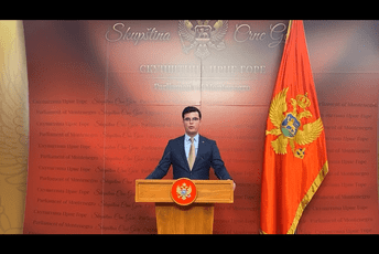 Šaranović: DF nije potpisao inicijativu za zakazivanje vanredne sjednice, stavljaju partijski interes ispred građana Podgorice Šaranović: DF nije potpisao inicijativu za zakazivanje vanredne sjednice, stavljaju partijski interes ispred građana Podgorice