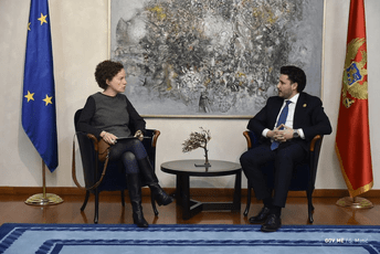 Šefica Misije OEBS-a naglasila važnost hitnog izbora sudija Ustavnog suda Šefica Misije OEBS-a naglasila važnost hitnog izbora sudija Ustavnog suda