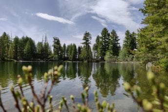 Besplatan ulaz u nacionalne parkove za Dan državnosti Besplatan ulaz u nacionalne parkove za Dan državnosti