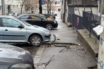 Vjetar u Beogradu rušio grane, u Vojvodini dostigao brzinu od 100 km/h