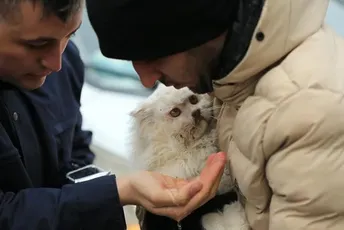 Dirljive fotografije mačke koja je spašena nakon potresa: Humanost i u najtežim trenucima Dirljive fotografije mačke koja je spašena nakon potresa: Humanost i u najtežim trenucima