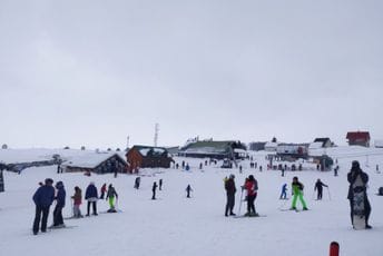 Purić: Imamo gubitke, pokušaćemo da ih nadoknadimo u ostatku sezone Purić: Imamo gubitke, pokušaćemo da ih nadoknadimo u ostatku sezone