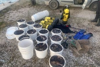 U blizini firme iz Budve, pronađeno 300 kilograma zaštićenih morskih krastavaca U blizini firme iz Budve, pronađeno 300 kilograma zaštićenih morskih krastavaca