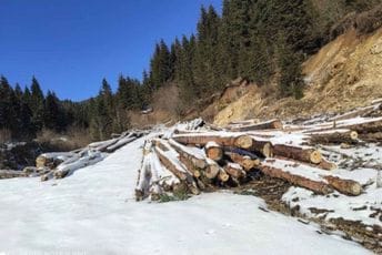 Doznake samo za odabrane, dokumentacija se falsifikuje, država trpi milionske štete Doznake samo za odabrane, dokumentacija se falsifikuje, država trpi milionske štete